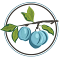 Blue Plum Dental logo icon